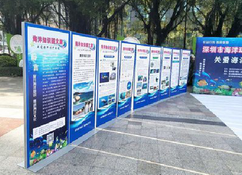 洪江KT板的种类和知识。